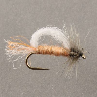 FPA SPECIAL EMERGER thumbnail