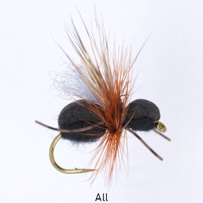 SPECKLED GIRDLE BUG Yellow Brown thumbnail