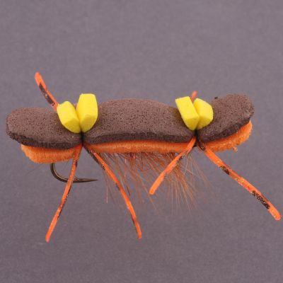 CHERNOBYL ANT Brown/Orange thumbnail