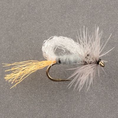 FPA SPECIAL EMERGER Grey thumbnail