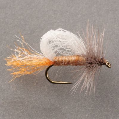 FPA SPECIAL EMERGER PMD thumbnail