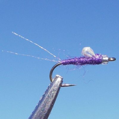 RS-2 LOW WING Purple thumbnail